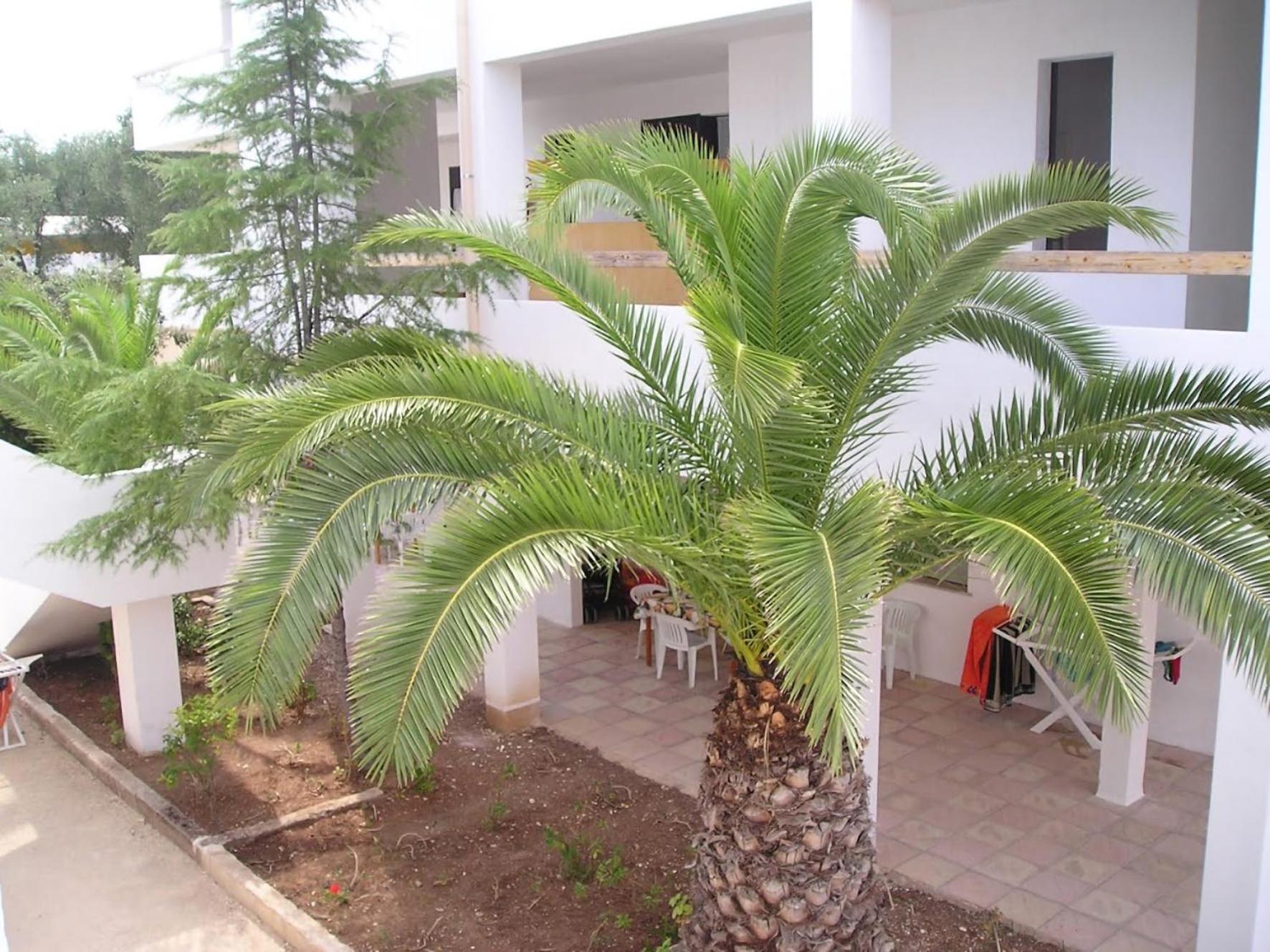 Residence Baia Del Gallo Весте Екстериор снимка